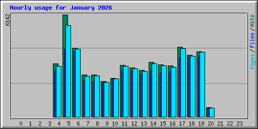 Hourly usage for January 2026